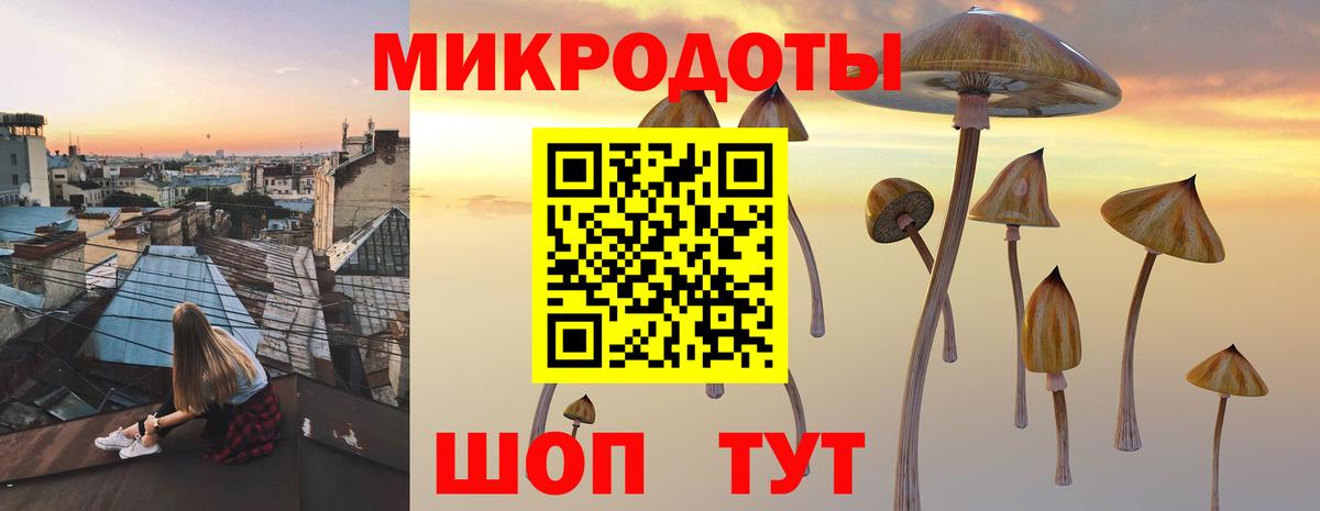 Псилоцибиновые грибы мухоморы  Псилоцибиновые грибы GOLDEN TEACHER  купить   Вход с VPN  Нижнекамск 